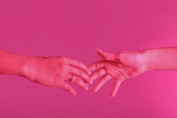 Rex Casino Stuðningur